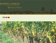 Tablet Screenshot of damien-laureau.fr